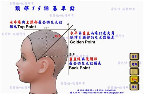 頭部七條基準線|學習剪髮之前 先認識頭部15個基準點 、7條線掌握剪髮架構 〔點。